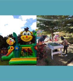 SKATE PARK Antanimena