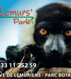 Lemurs' Park