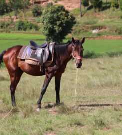 Le Relais Cavalkad’ Ivato